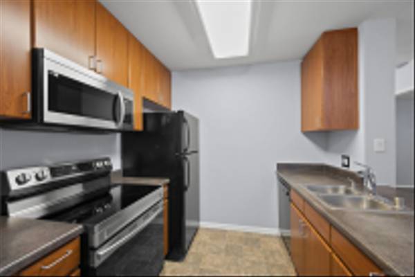 San Diego, CA 92101,1435 India St #515