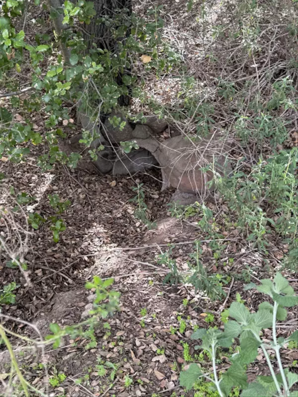 Escondido, CA 92026,25111 N Centre City Pkwy #30