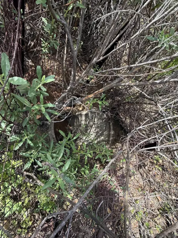 Escondido, CA 92026,25111 N Centre City Pkwy #30