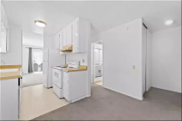 San Diego, CA 92109,4130 Haines St. #7A