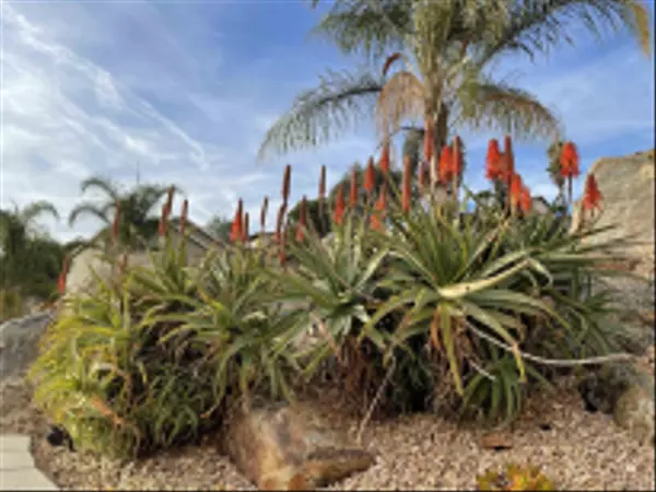 Spring Valley, CA 91977,1637 Paraiso Avenue