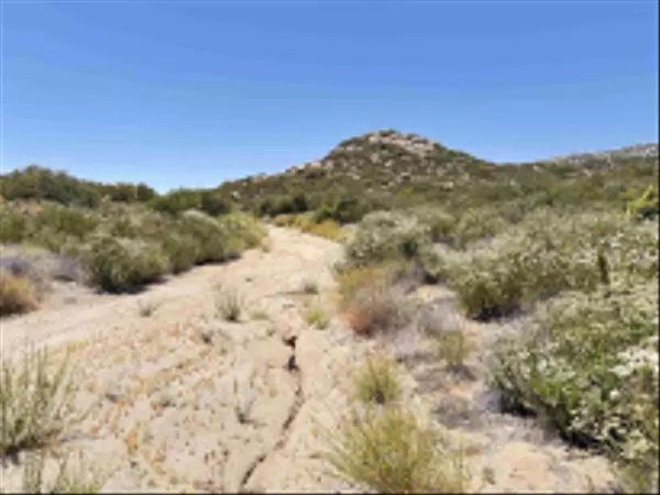 Campo, CA 91906,00 Hwy 94 #1