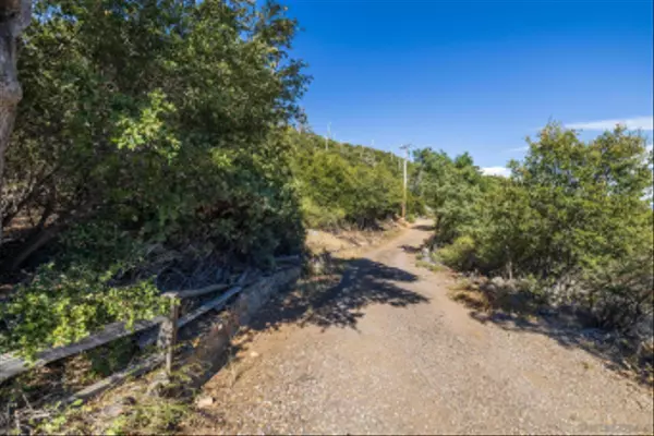 Julian, CA 92036,35929 N Peak Way #17