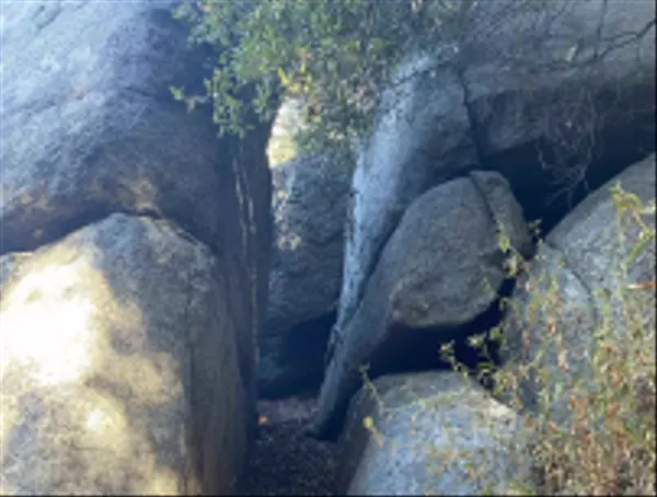 Alpine, CA 91901,Victoria Drive #18