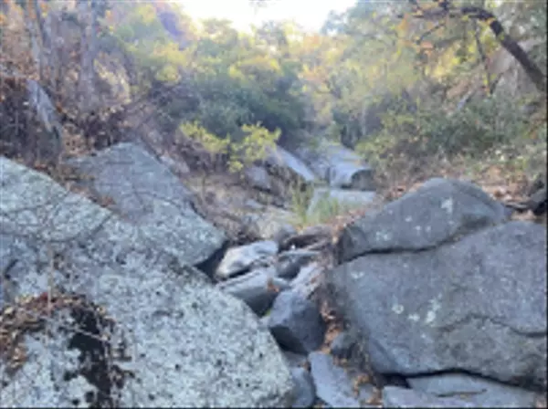 Alpine, CA 91901,Victoria Drive #18