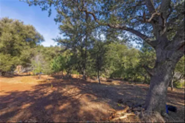 Julian, CA 92036,Frisius Dr #42