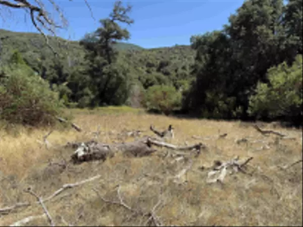 Julian, CA 92036,5909 Forest Meadow Road #0