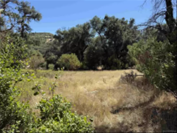 Julian, CA 92036,5909 Forest Meadow Road #0
