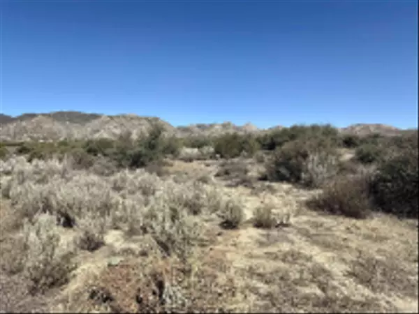 Ranchita, CA 92066,McConamara Drive #12 & 13