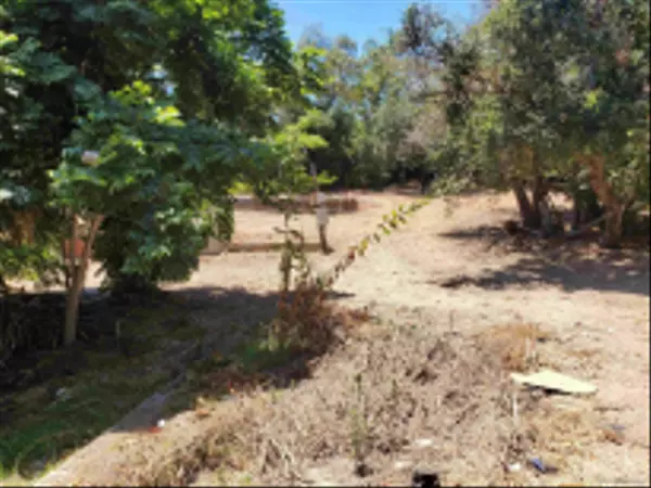 Vista, CA 92083,326 Plumosa #11 and 13