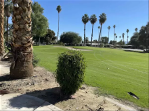 Borrego Springs, CA 92004,1010 Palm Canyon Dr #167