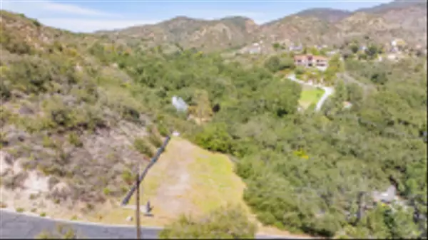 Trabuco Canyon, CA 92679,30271 Canyon Crk #856-041-36