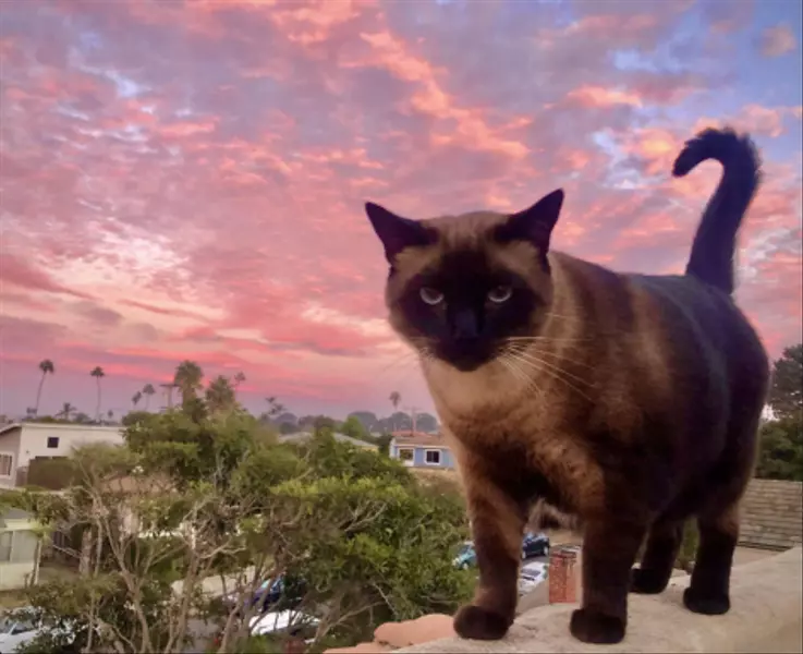 4685 Long Branch Ave, San Diego, CA 92107