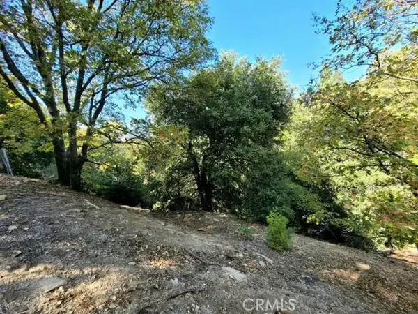 Crestline, CA 92352,0 Edelweiss
