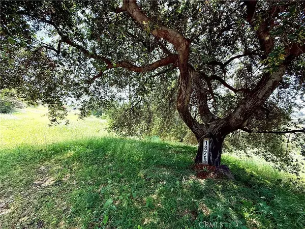 Glendora, CA 91741,1826 Bluebird