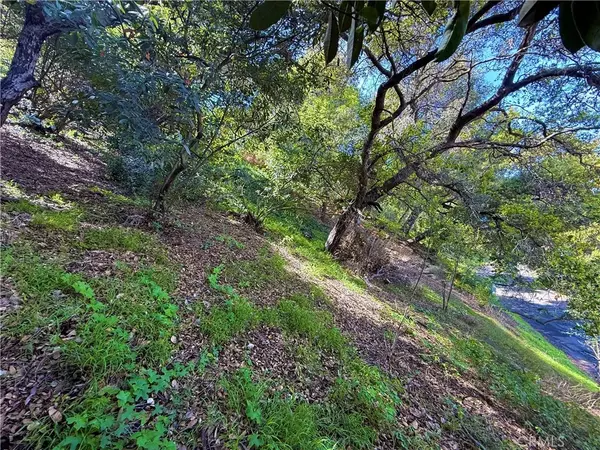 Studio City, CA 91604,11472 Laurelcrest dr