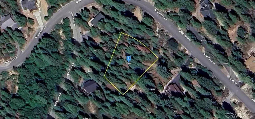 Shaver Lake, CA 93664,40541 Wild Rose