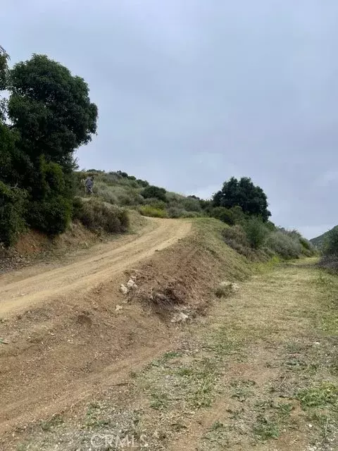 Simi Valley, CA 93063,85 Apricot