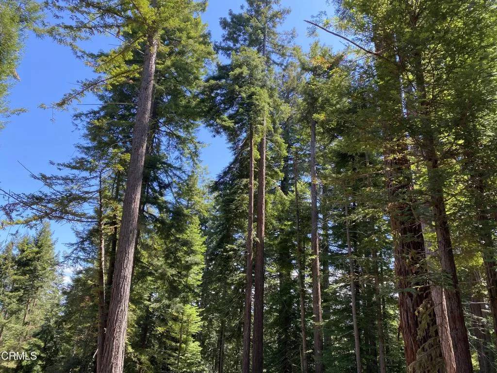 Westport, CA 95488,35065 N Highway 1