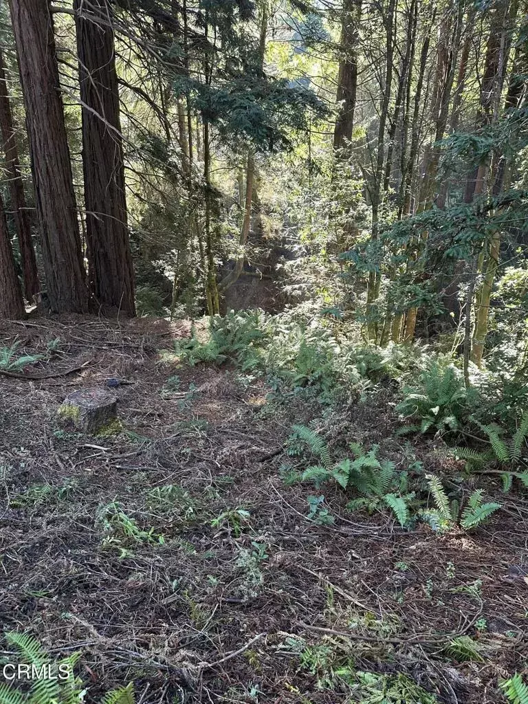 Fort Bragg, CA 95437,17500 Redwood Springs
