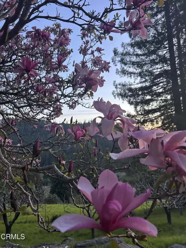 Comptche, CA 95427,29100 Comptche Ukiah Road