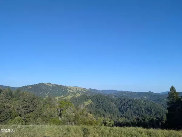 Point Arena, CA 95468,22346 Rickard Ranch