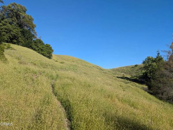 Point Arena, CA 95468,22346 Rickard Ranch