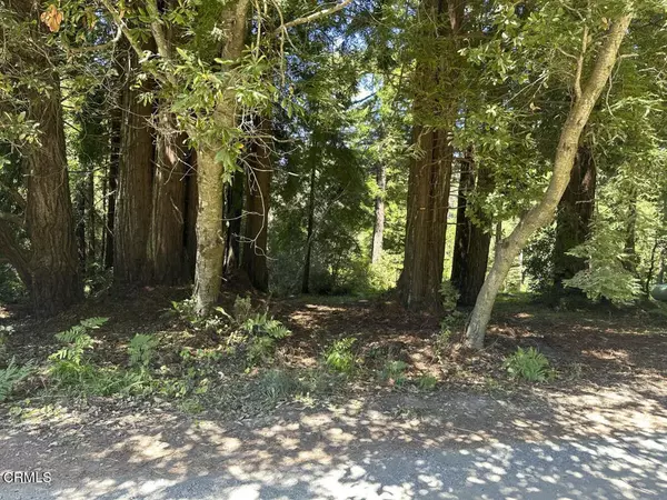 Fort Bragg, CA 95437,31320 Airport