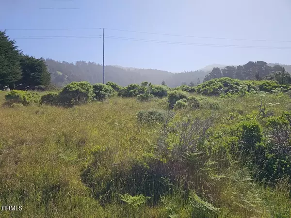15151 Mallo Pass, Manchester, CA 95459