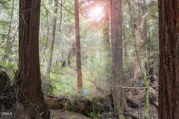 Fort Bragg, CA 95437,32100 Forest