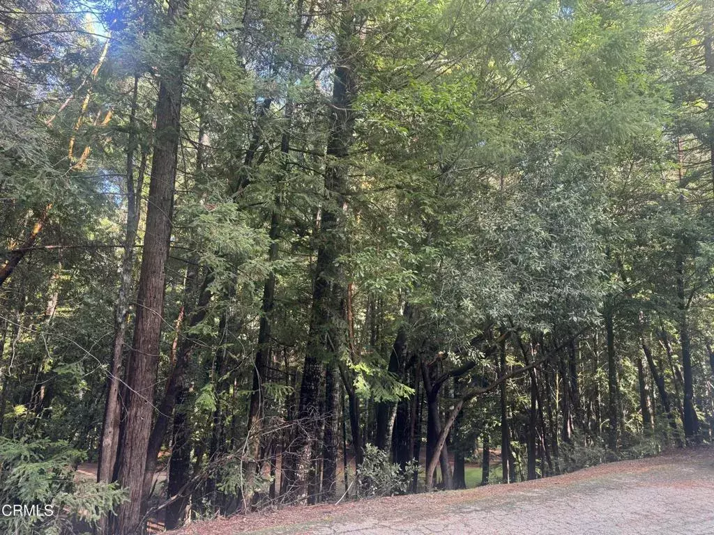 Willits, CA 95490,25195 Bluejay