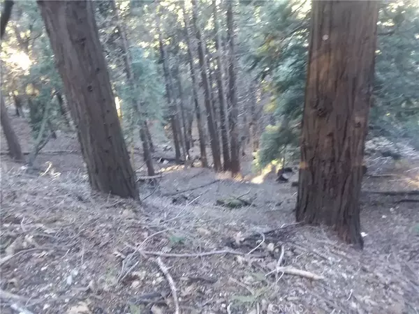 Cedarpines Park, CA 92322,0 El valle