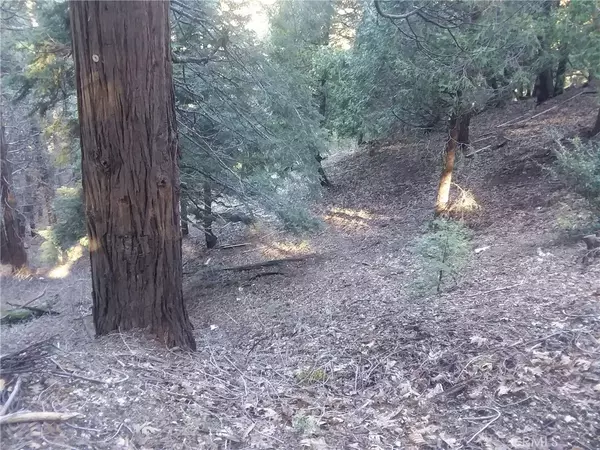 Cedarpines Park, CA 92322,0 El valle