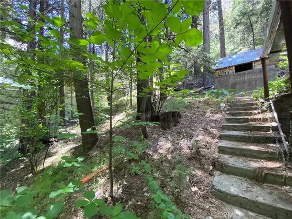 Blue Jay, CA 92317,26776 State Hwy 189