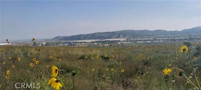 Devore, CA 92407,0 Meyers