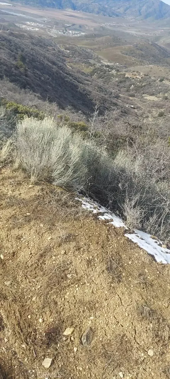 Tehachapi, CA 93561,18020 Matterhorn