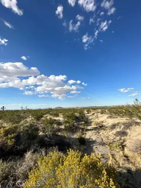 Black Butte, CA 93591,0 Vac/Pearblossom Hwy/241 Ste