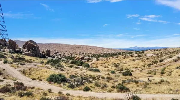 Apple Valley, CA 92307,0 Coxey