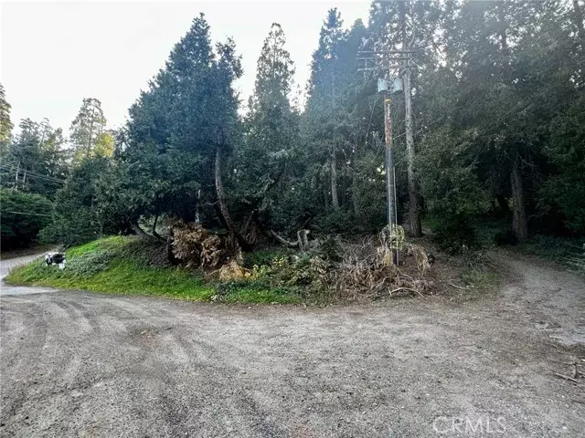 Cedarpines Park, CA 92322,0 Burnt Mill Canyon