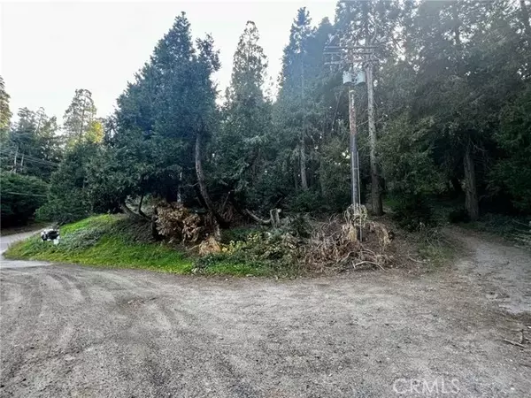 0 Burnt Mill Canyon, Cedarpines Park, CA 92322