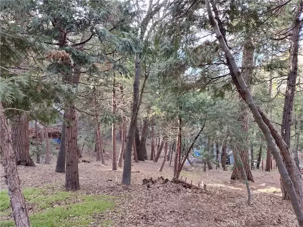 Crestline, CA 92325,0 Outlook