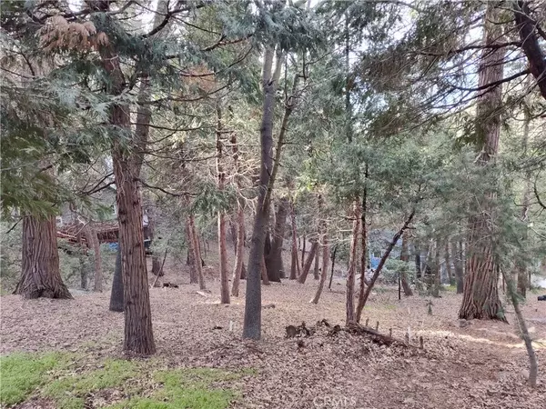 Crestline, CA 92325,0 Outlook