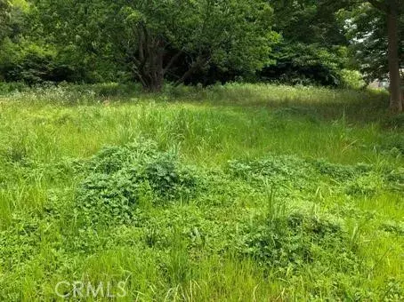 Acton, CA 93510,0 Vac/Garlock Rd/Vic Shannon