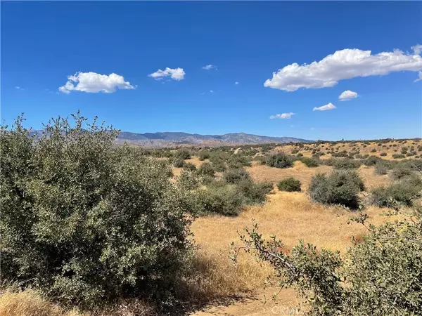 Phelan, CA 92371,0 Barbet