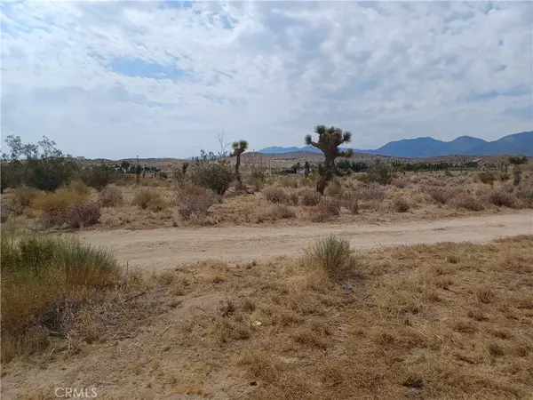Pearblossom, CA 93553,0 E Avenue V-12