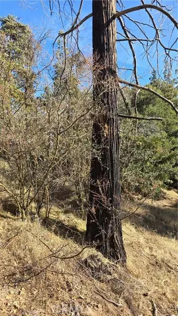 Cedarpines Park, CA 92322,0 unknown