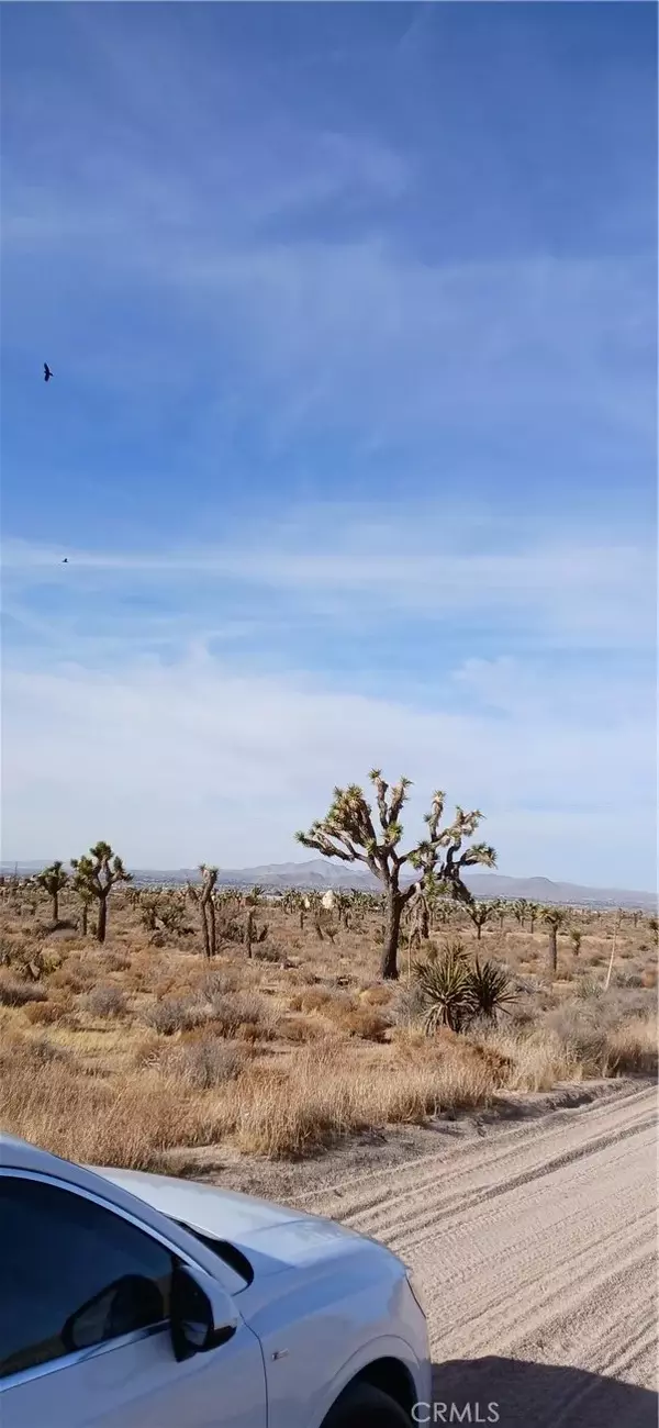 Apple Valley, CA 92308,0 Bowen Ranch