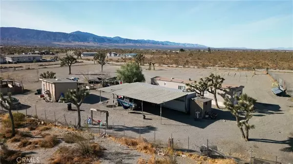 Phelan, CA 92371,12543 Buckwheat