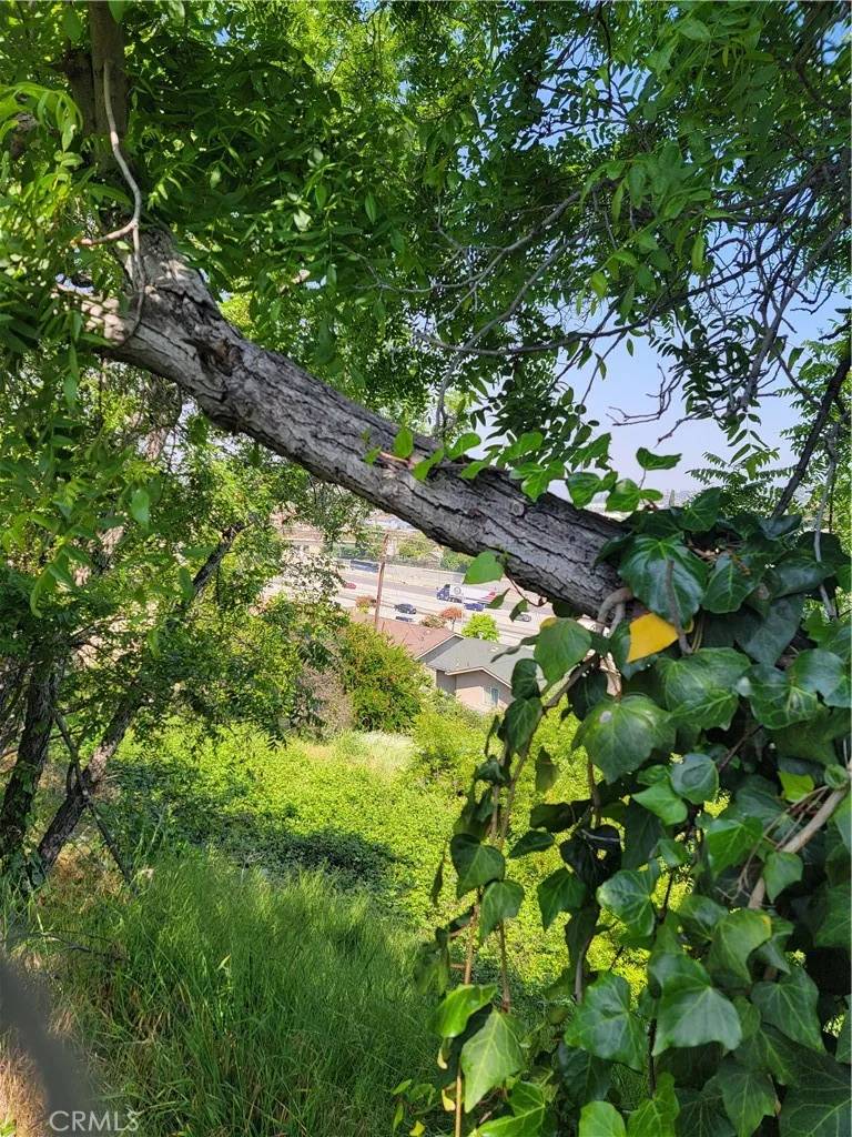 Los Angeles, CA 90063,3717 Woolwine