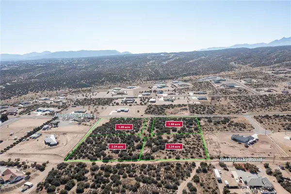 Phelan, CA 92371,0 Mesquite